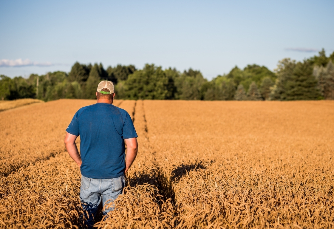 Farmers